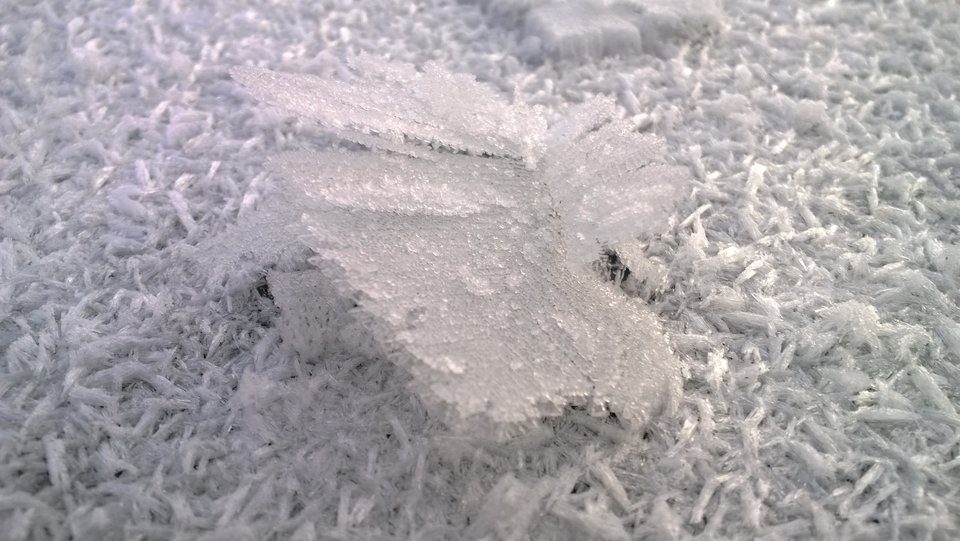 WP_20170108_019 - Kopia.jpg - Ratl