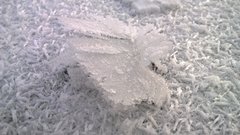 WP_20170108_019 - Kopia.jpg