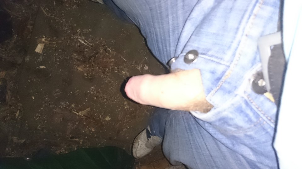 DSC_0381.JPG - mis1199