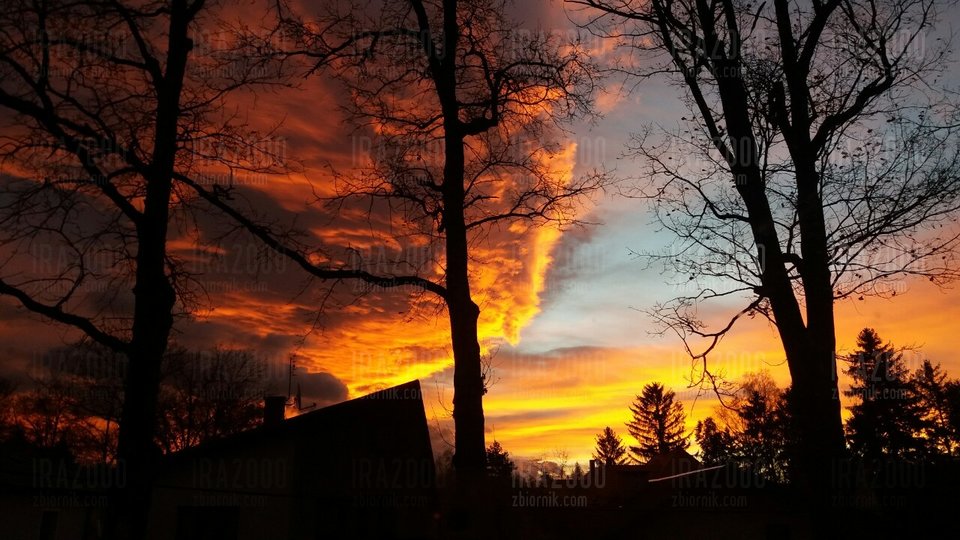 image-0-02-05-198bf456dc141db8b8006be93027503902a00eb0f894e37c88 - IRA2000