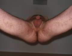 SAM_3643.JPG