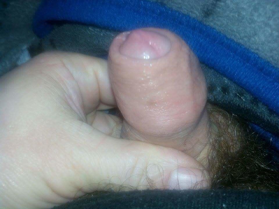 received_745229972297341.jpeg - kostek1234