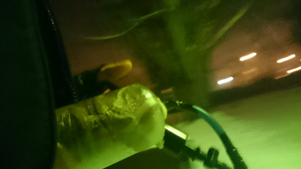 DSC_3788.JPG - RATCVAC