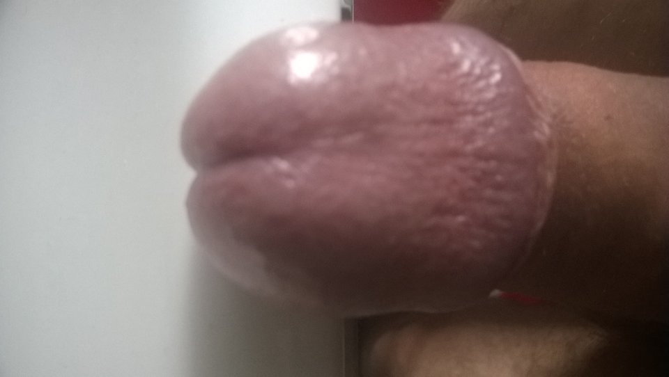 WP_20170113_002.jpg - brunecik_32