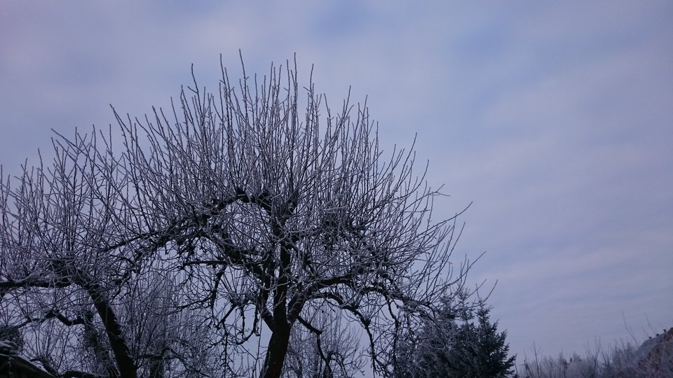 DSC_0393.JPG - mis1199