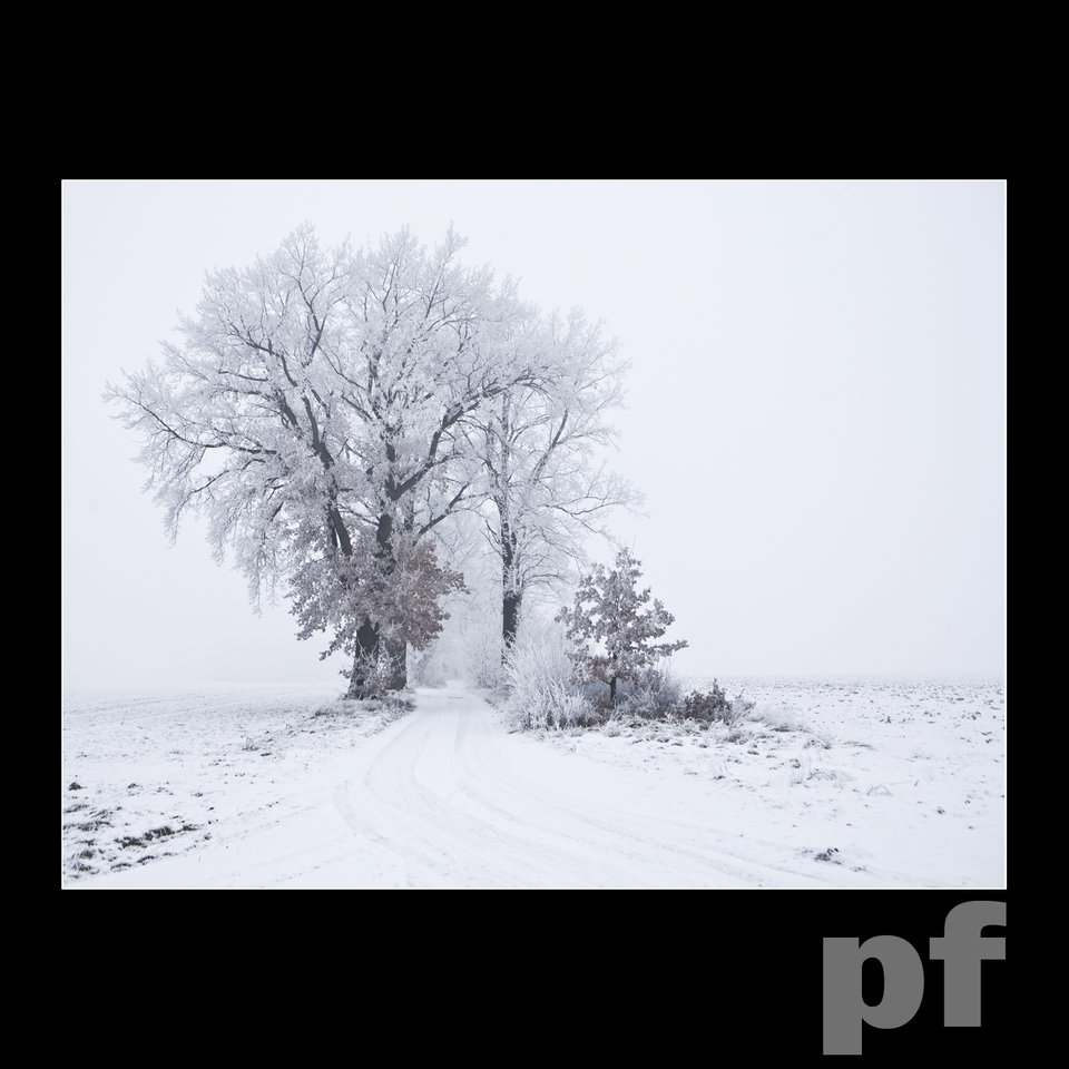 ZABIORĘ CIEBIE NA SPACER - panfoto