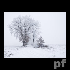 ZABIORĘ CIEBIE NA SPACER