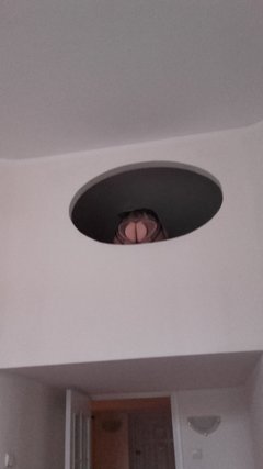 świstak siedzi bo wiewiórka była nieletnia :)