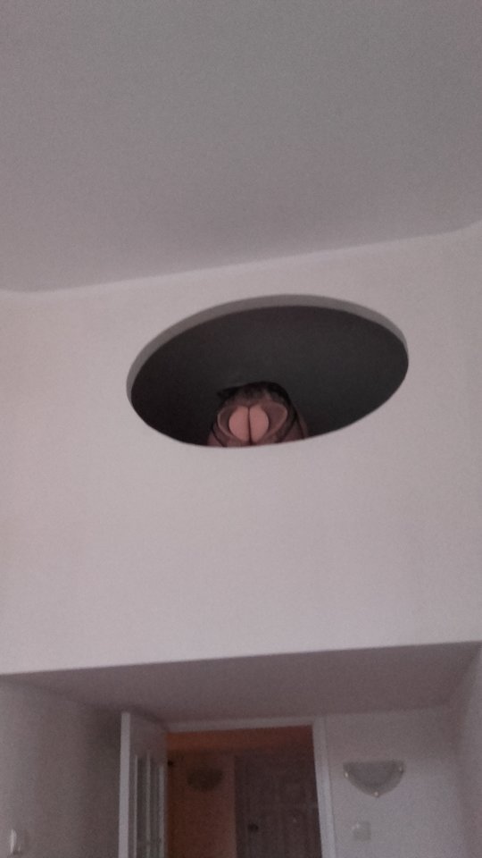 świstak siedzi bo wiewiórka była nieletnia :) - gothik