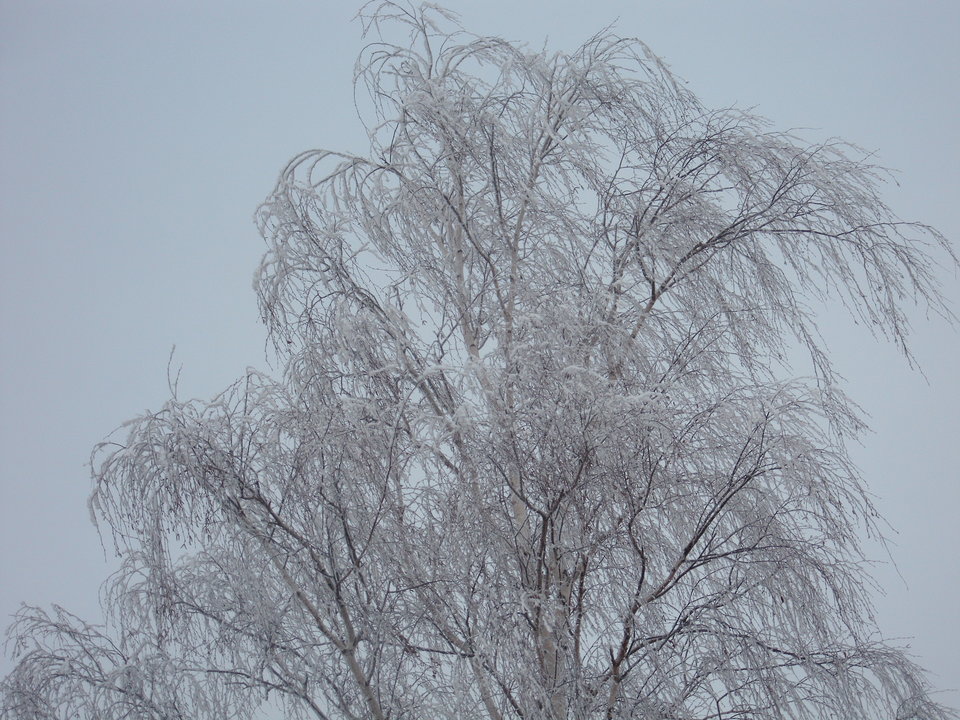 IMG_2581.JPG - love111