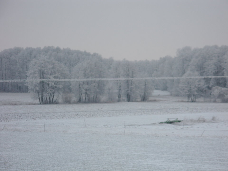 IMG_2582.JPG - love111