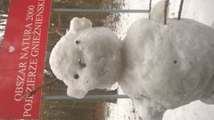 WP_20170119_12_30_11_Pro_LI.jpg