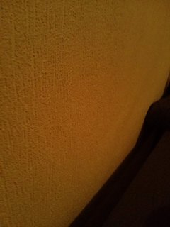 JPEG_20170123_024430_329146703.jpg