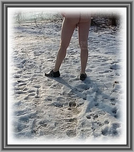 zima2.jpg - sylwester1963bis