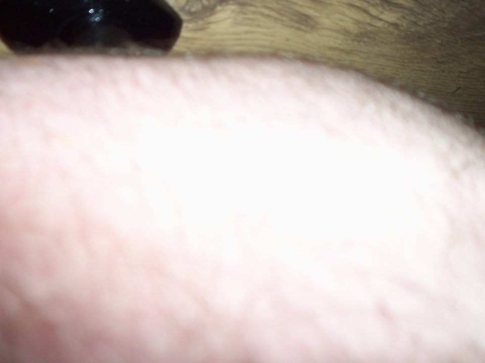 100_1386.JPG - Kamilia