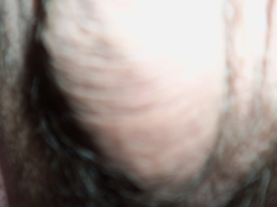 100_1492.JPG - Kamilia