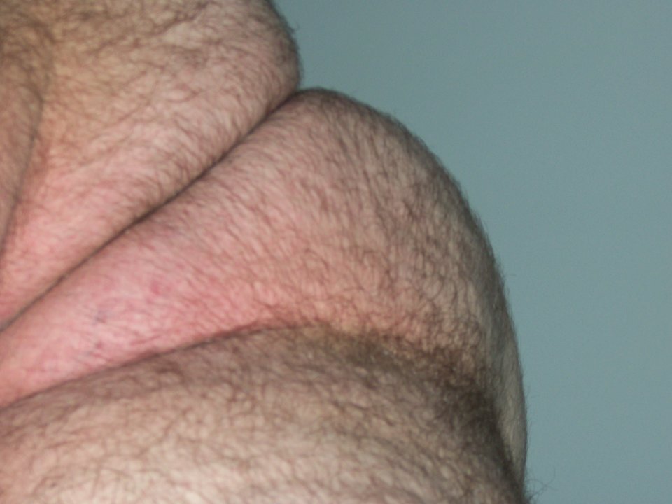 100_1574.JPG - Kamilia