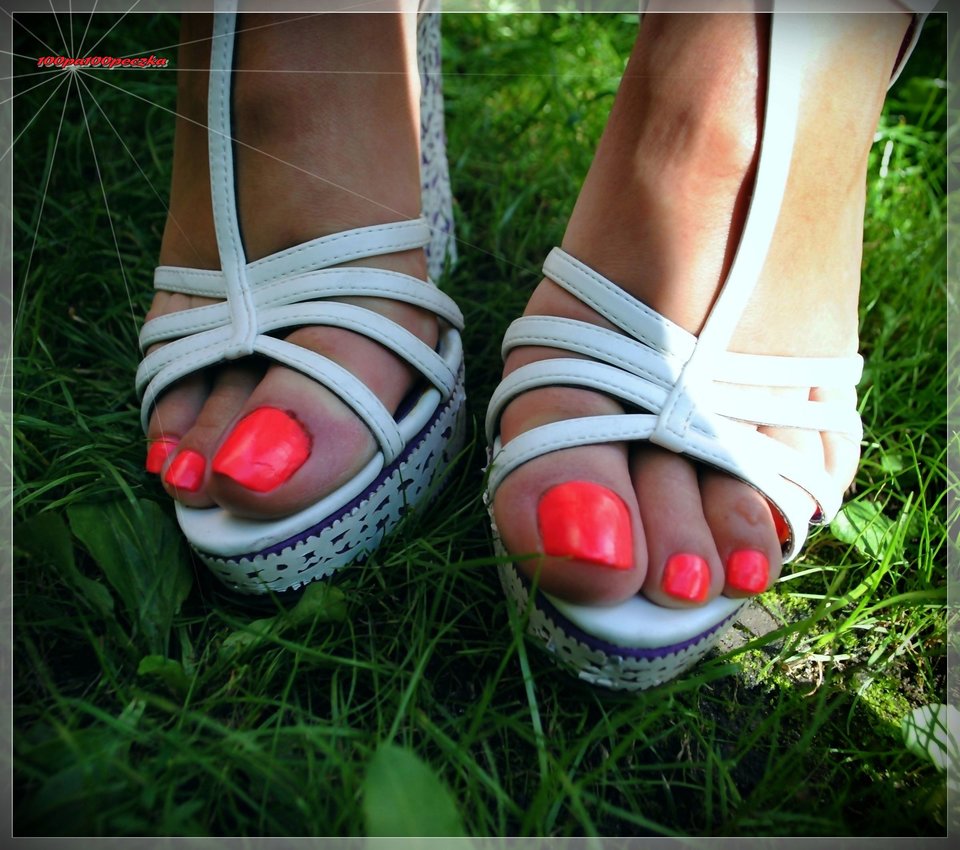 Białe Koturny #49 - 100pa100peczka