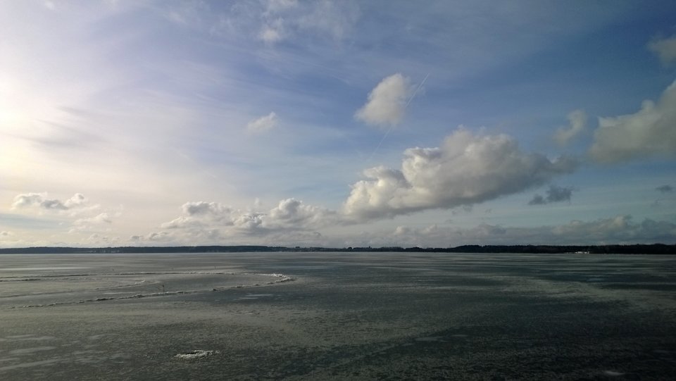 WP_20170125_023.jpg - Ratl