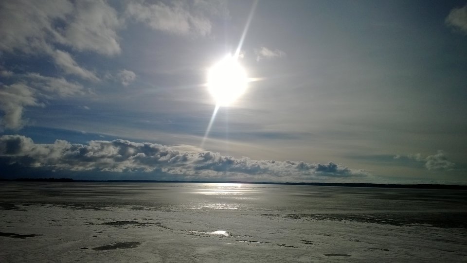 WP_20170125_012.jpg - Ratl