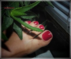 Czerwone Landrynki 124