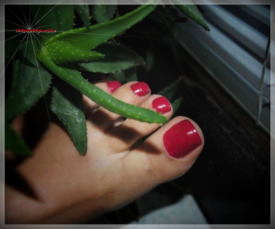 Czerwone Landrynki 124 - 100pa100peczka