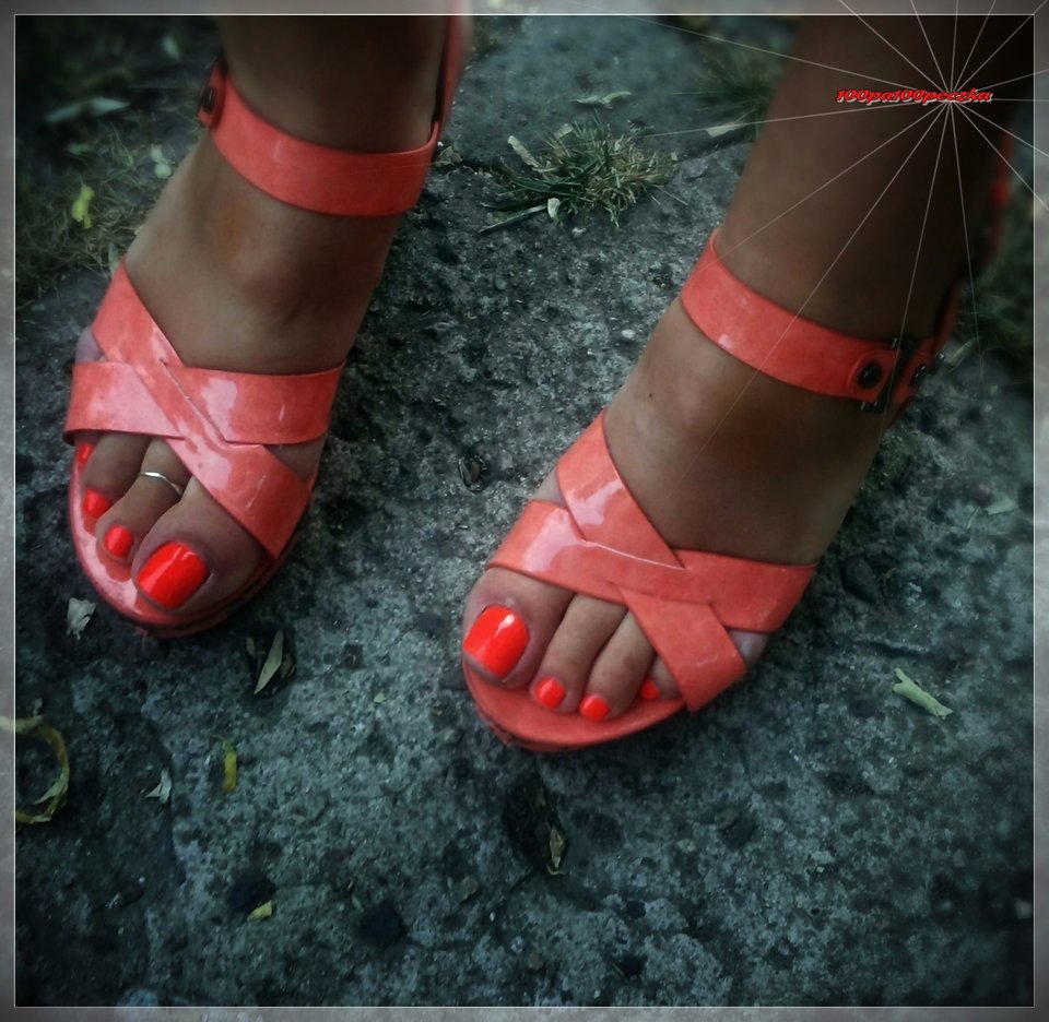 Pomarańczowe II #44 - 100pa100peczka