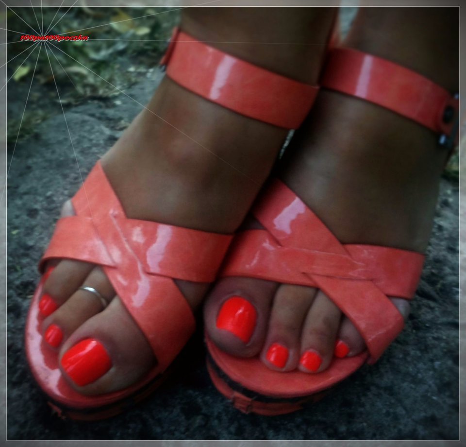 Pomarańczowe II #46 - 100pa100peczka