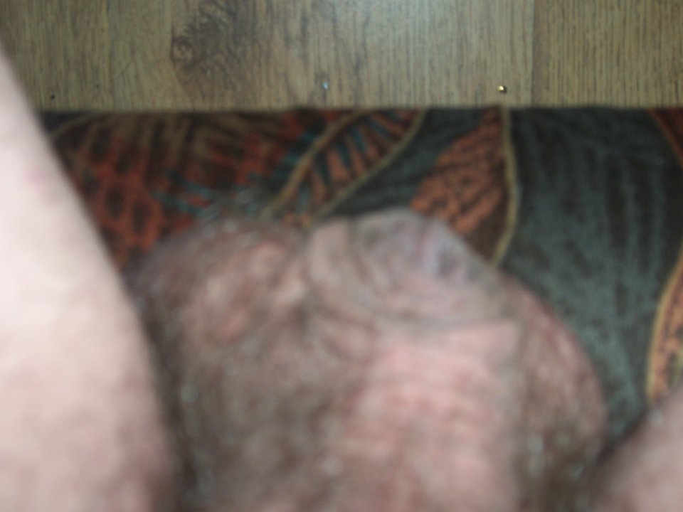 100_1868.JPG - Kamilia