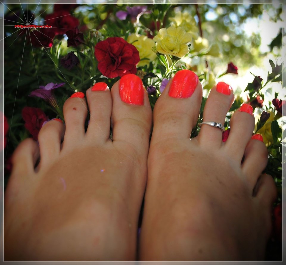 flowers #11 - 100pa100peczka