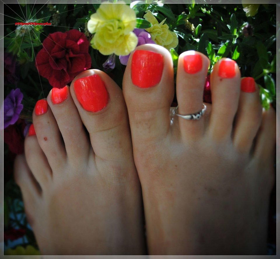 flowers #12 - 100pa100peczka