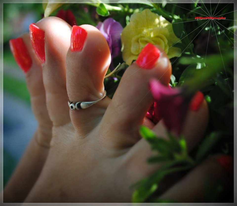 flowers #14 - 100pa100peczka