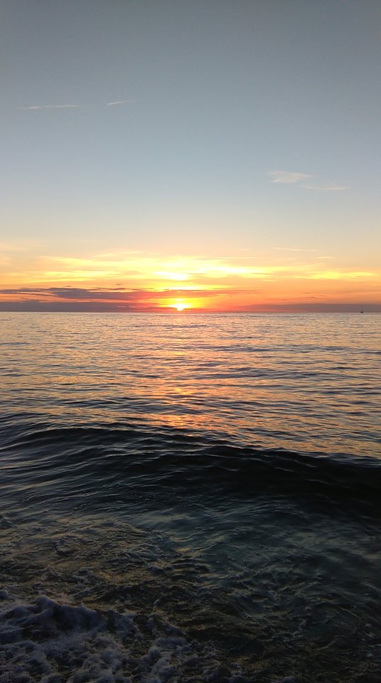 IMAG0606.jpg - epara