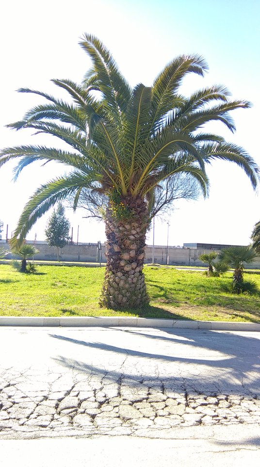 IMAG0857.jpg - elosebi