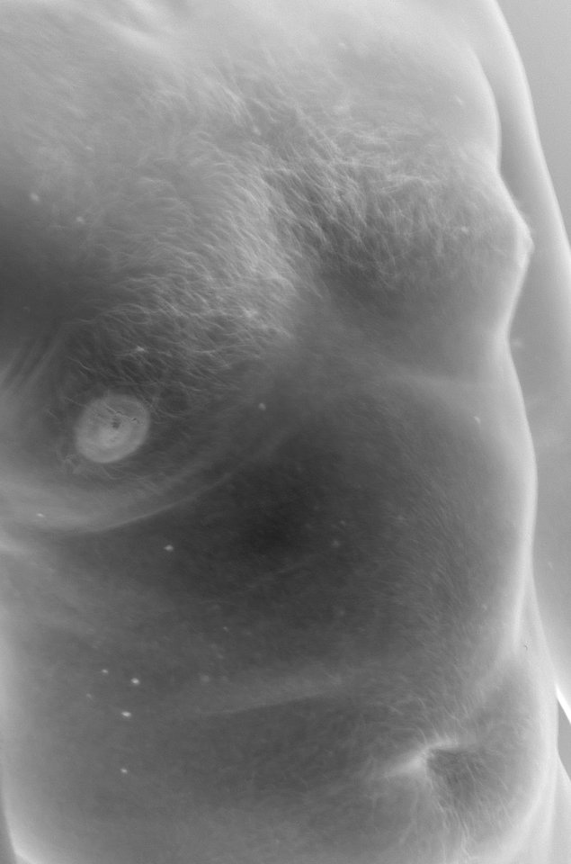 002.jpg - qubo_bravo