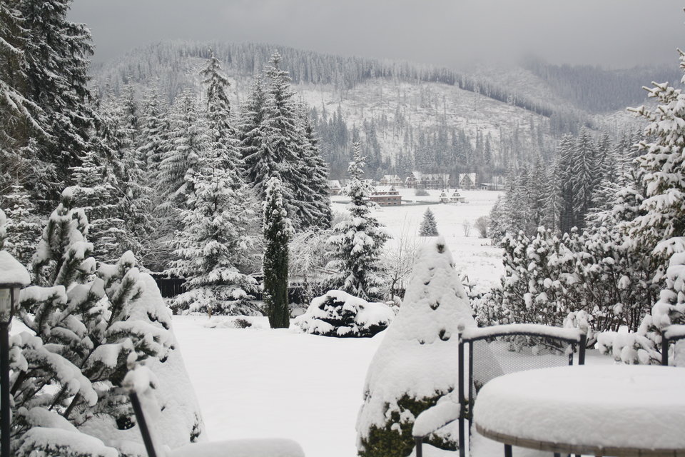 IMG_7025.JPG - zenekf67