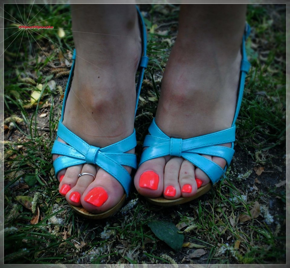 Błękitne Drewniaczki #60 - 100pa100peczka