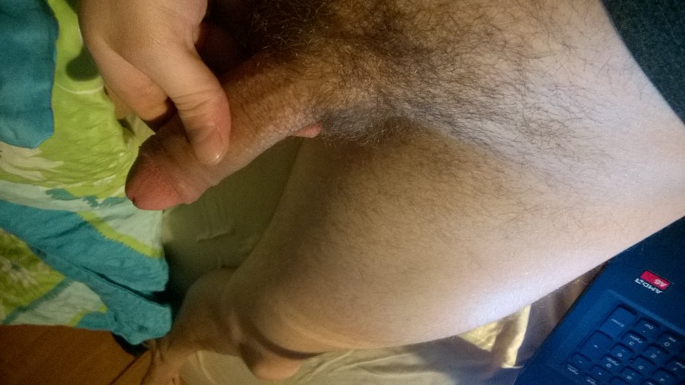 WP_20170125_21_46_05_Pro.jpg - collar84