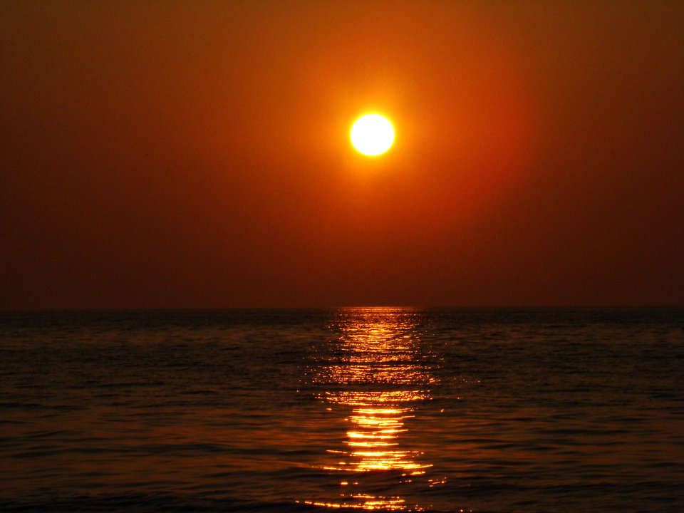 2016-07-25 090.jpg - mal74