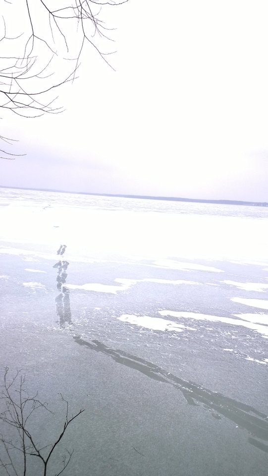 WP_20170206_025[1].jpg - Ratl