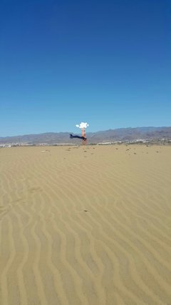 2017-02-13 20.19.12.jpg