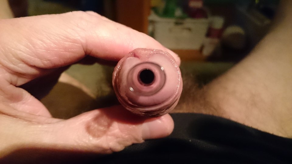 DSC_1311.JPG - Jacencior