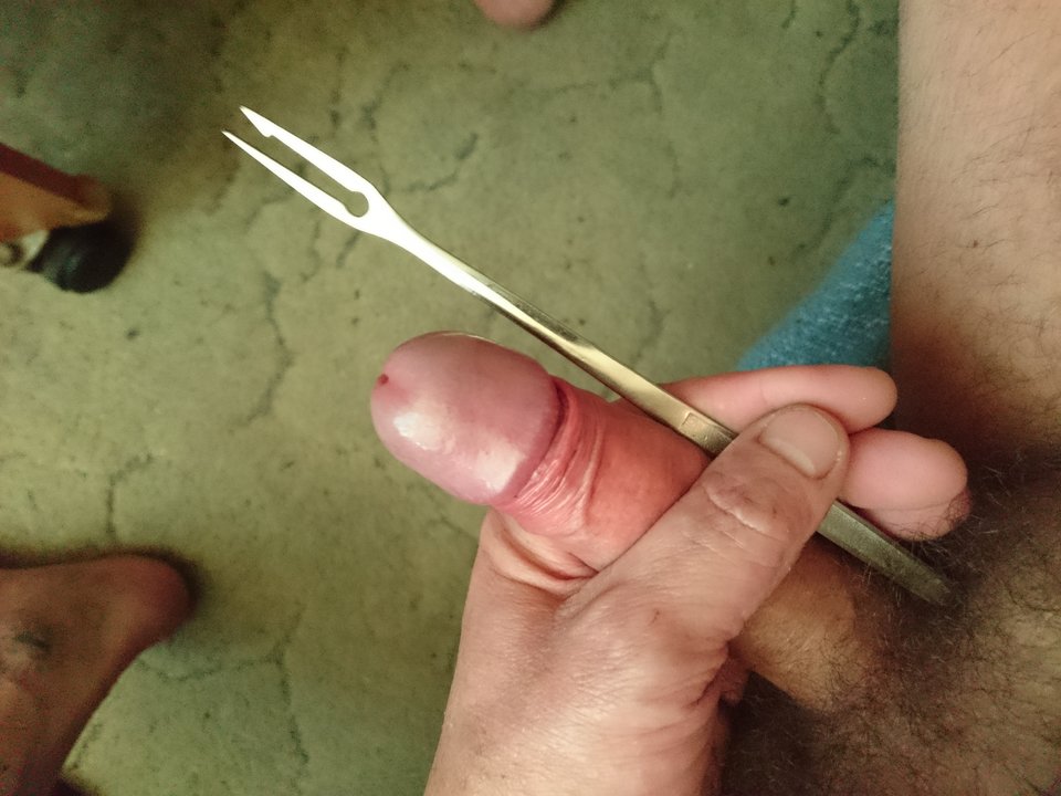 DSC_1351.JPG - Jacencior