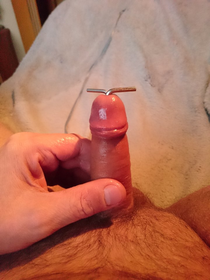 DSC_1385.JPG - Jacencior