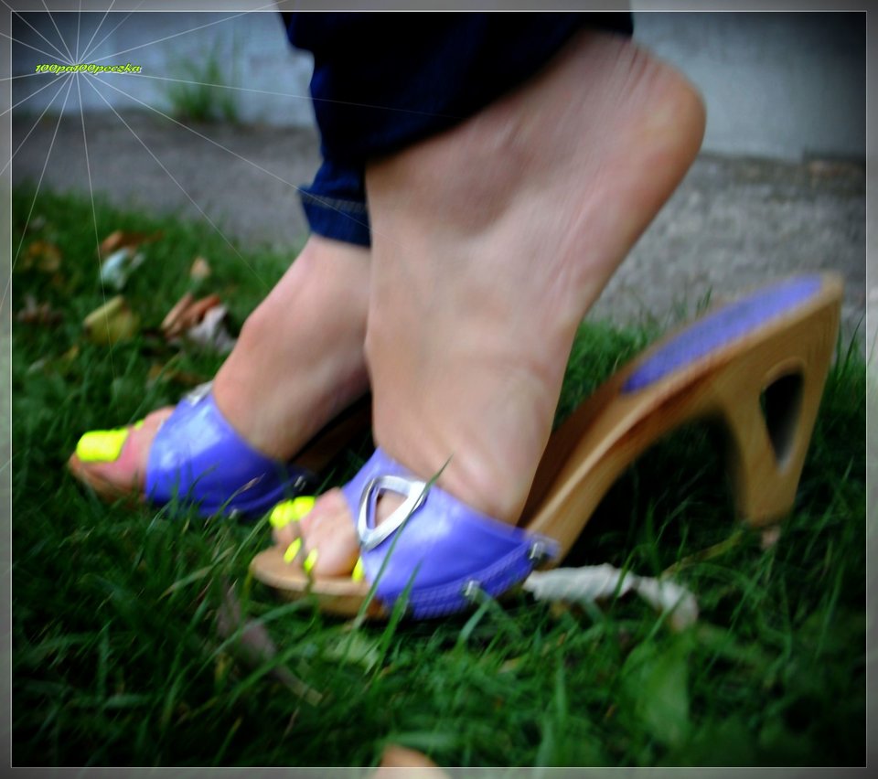 Fioletowe Drewniaczki 119 - 100pa100peczka