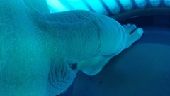 2017-02-18 09.49.41.jpg