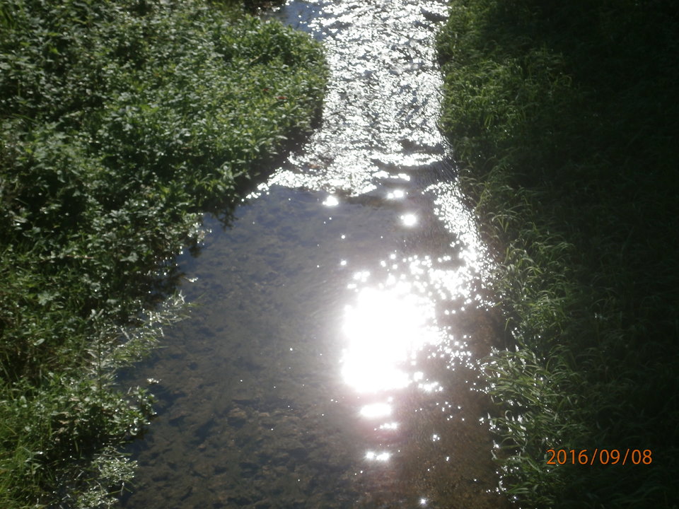 P9080500.JPG - czlowiekmaska