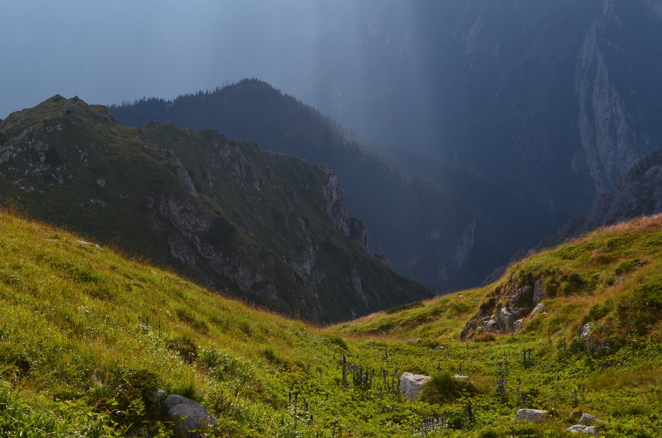 DSC_0758.JPG - roki321