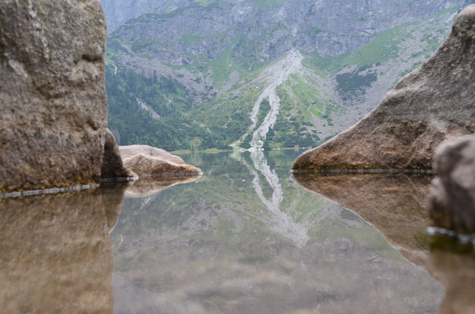 DSC_0233.JPG - roki321