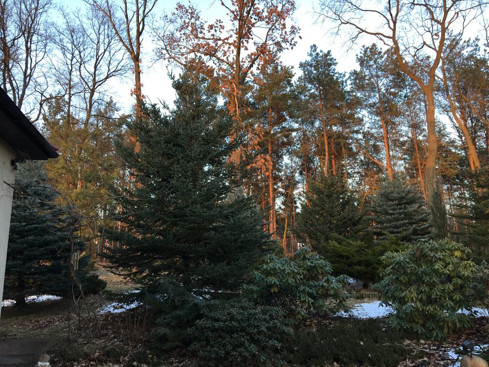 zachód słońca w ogrodzie :)) - kaskader_wawa